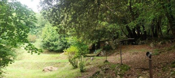 Studio in Camaiore, Italy No. 230886 6