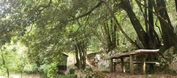 Studio in Camaiore, Italy No. 230886 4