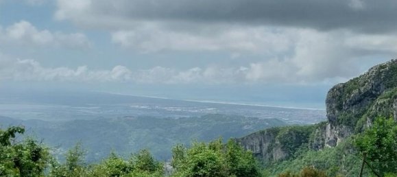 Studio in Camaiore, Italy No. 230886 5