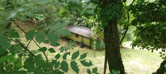 Studio in Camaiore, Italy No. 230886 2