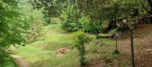 Studio in Camaiore, Italy No. 230886 3