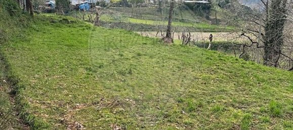 1 chambre Maison à Celorico de Basto, Portugal No. 37404 6