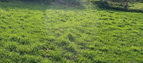 1 chambre Maison à Celorico de Basto, Portugal No. 37404 11