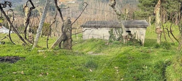 1 chambre Maison à Celorico de Basto, Portugal No. 37404 10