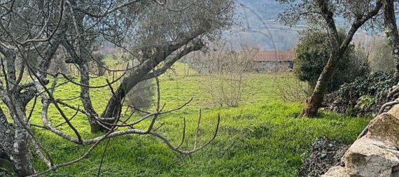 1 chambre Maison à Celorico de Basto, Portugal No. 37404 3