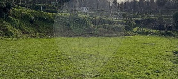 1 chambre Maison à Celorico de Basto, Portugal No. 37404 7
