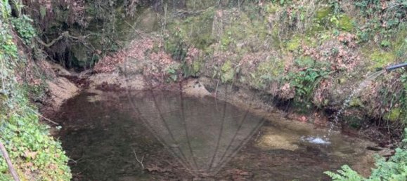 1 chambre Maison à Celorico de Basto, Portugal No. 37404 9