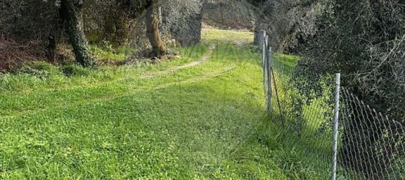1 chambre Maison à Celorico de Basto, Portugal No. 37404 13