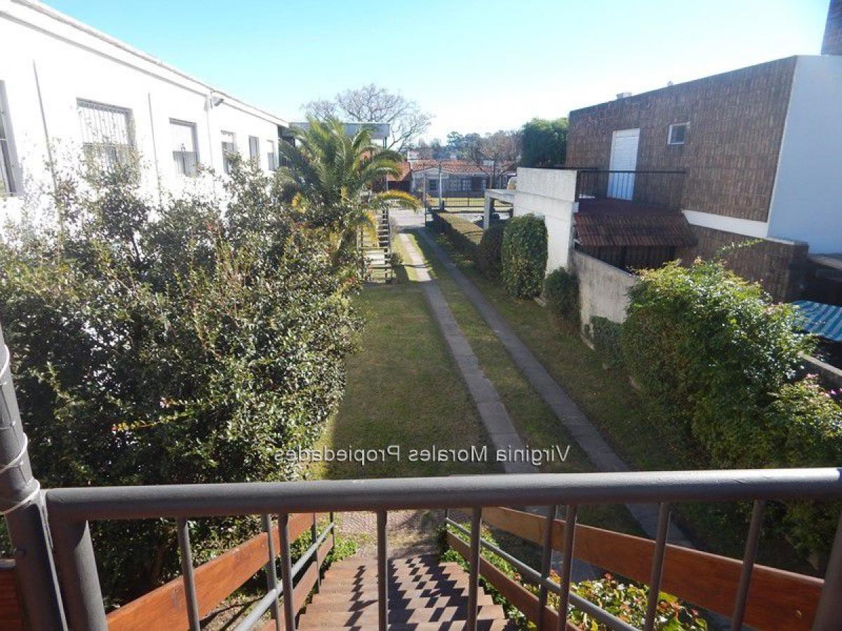 3 bedrooms House in Montevideo, Uruguay No. 2348