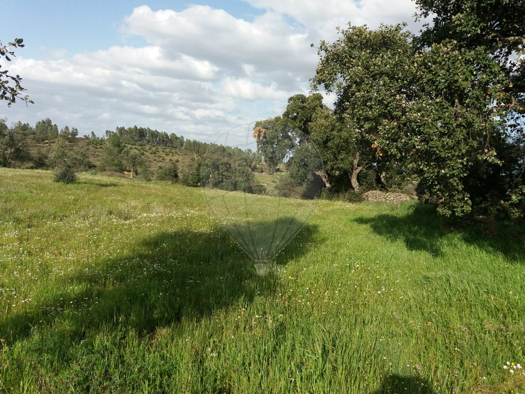 2250m² Land in Castelo Branco, Portugal No. 62569