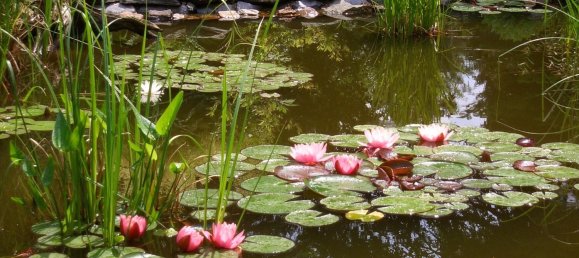  قطعة أرض في Plauen, Germany رقم 346381 5