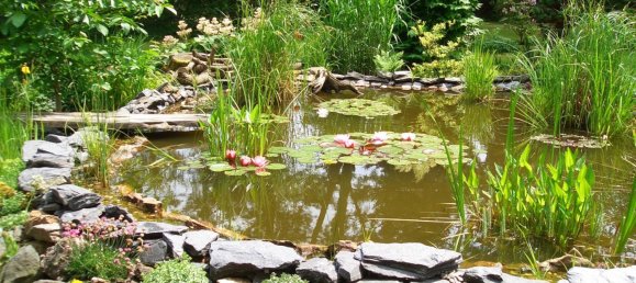  قطعة أرض في Plauen, Germany رقم 346381 7