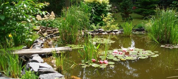  قطعة أرض في Plauen, Germany رقم 346381 4