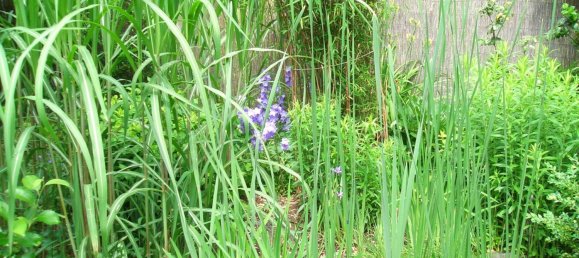  قطعة أرض في Plauen, Germany رقم 346381 17