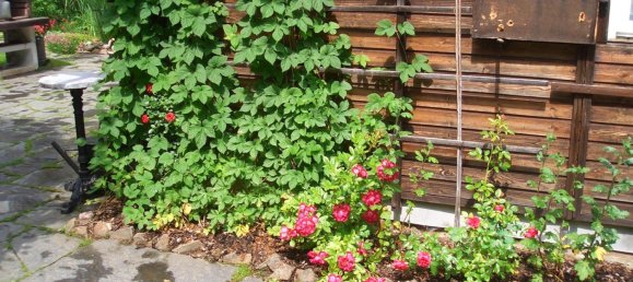  قطعة أرض في Plauen, Germany رقم 346381 14