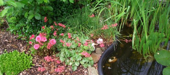  قطعة أرض في Plauen, Germany رقم 346381 16