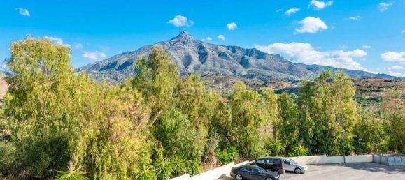 3 غرف نوم تاون هاوس في Marbella, Spain رقم 64108 27