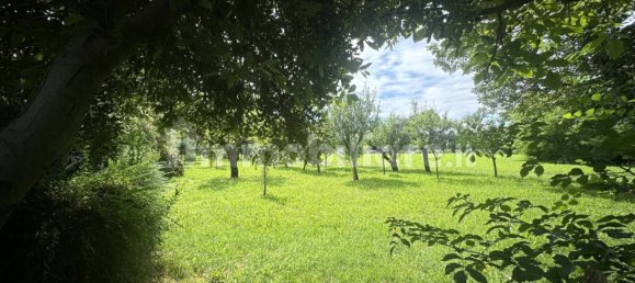 4 bedrooms House in Maserada sul Piave, Italy No. 287804 23