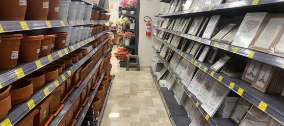 Gewerbliche Immobilie in Formia, Italy 750m², Nr. 107811 6