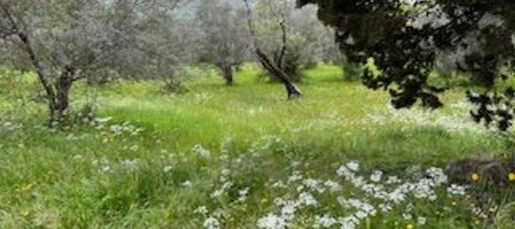 6 rooms House in Fiesole, Italy No. 211046 3