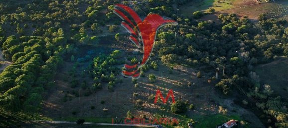 Terreno en Santiago do Cacem, Portugal 63500 m² No. 68692 5