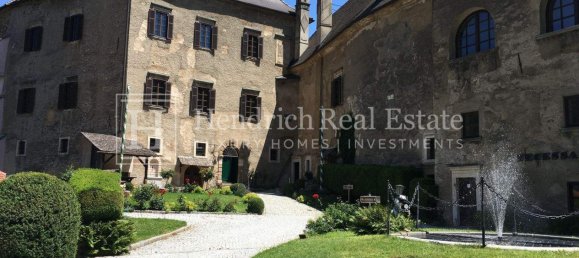 35 rooms Castles in Frohnleiten, Austria No. 247329 15