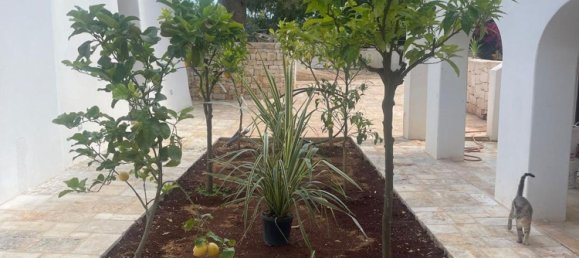 20غرفة فيلا في Ostuni, Italy رقم 37402 23