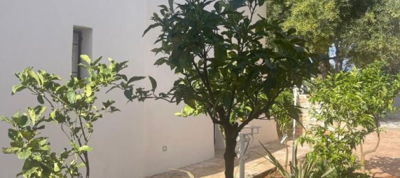 20غرفة فيلا في Ostuni, Italy رقم 37402 41