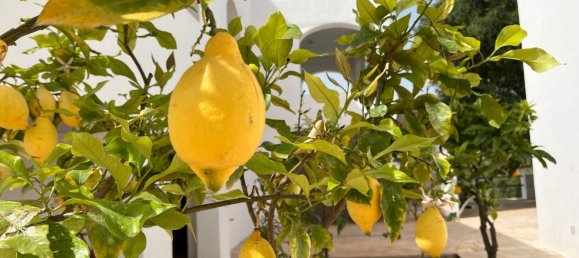 20غرفة فيلا في Ostuni, Italy رقم 37402 30