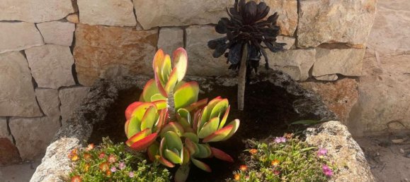 20غرفة فيلا في Ostuni, Italy رقم 37402 4