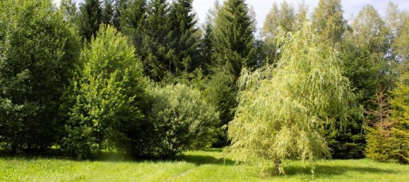 Casa de 3 dormitorios en Vogtlandkreis, Germany No. 357677 27