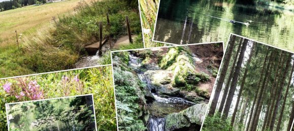 Casa de 3 dormitorios en Vogtlandkreis, Germany No. 357677 26