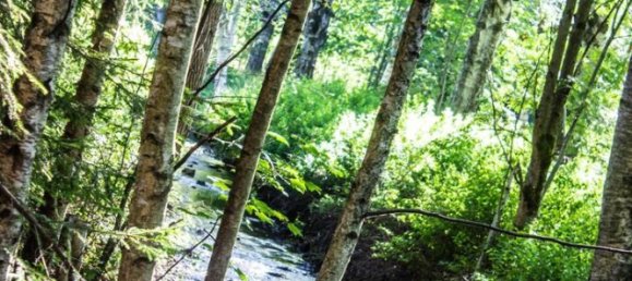 Casa de 3 dormitorios en Vogtlandkreis, Germany No. 357677 22