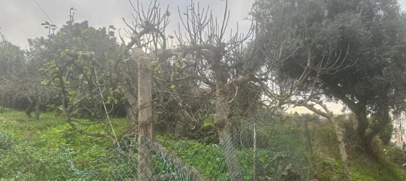 4000m² Land in Seixal, Portugal No. 77291 9