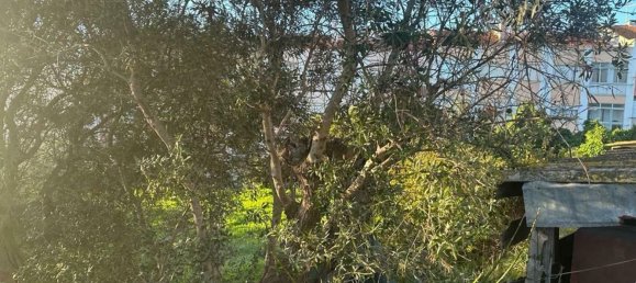 4000m² Land in Seixal, Portugal No. 77291 16