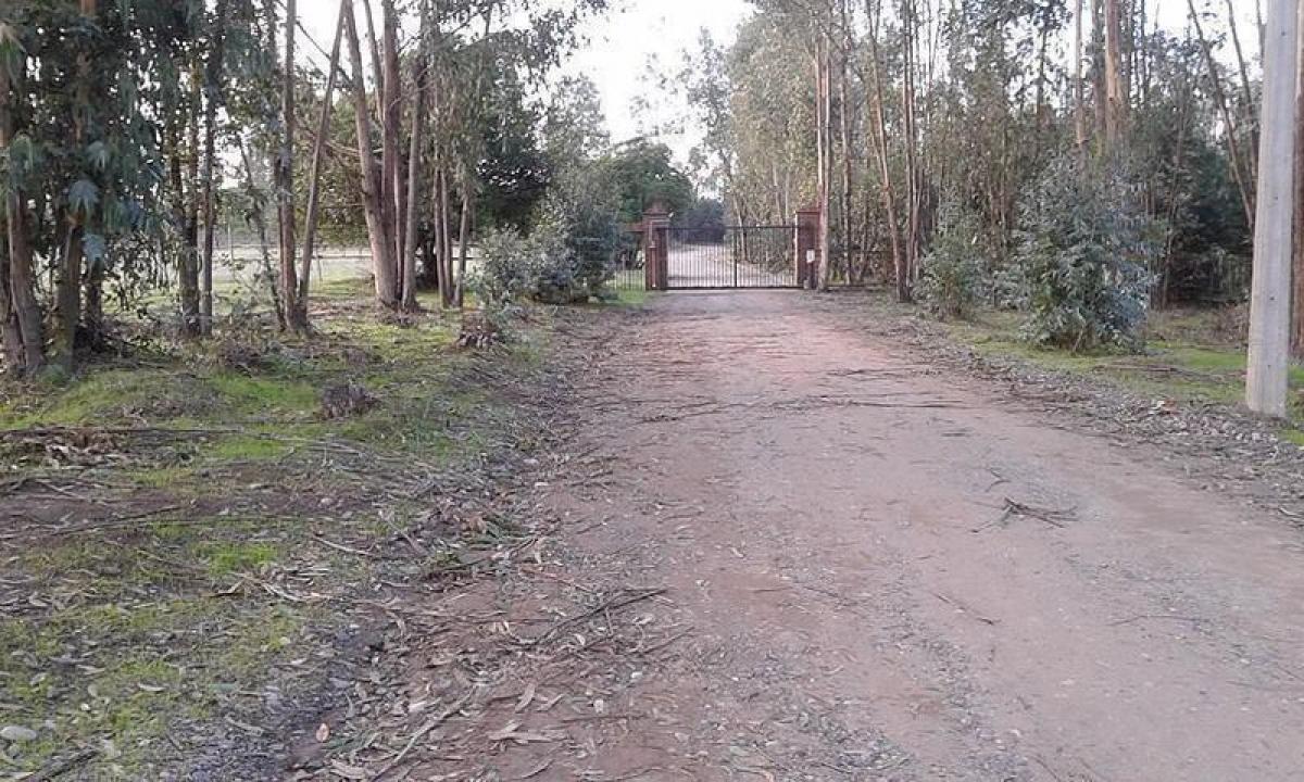  Land in Valparaiso, Chile No. 1339