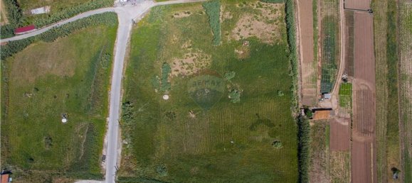 Grundstück in Nazare, Portugal 13800m², Nr. 71328 9