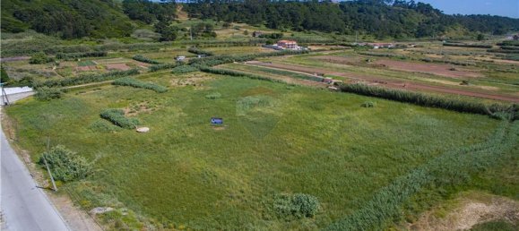 Grundstück in Nazare, Portugal 13800m², Nr. 71328 2