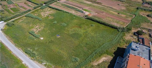 Grundstück in Nazare, Portugal 13800m², Nr. 71328 3