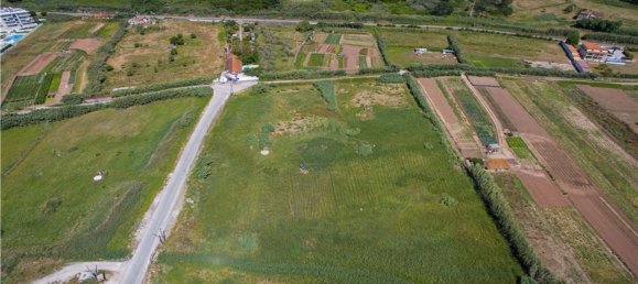Grundstück in Nazare, Portugal 13800m², Nr. 71328 5