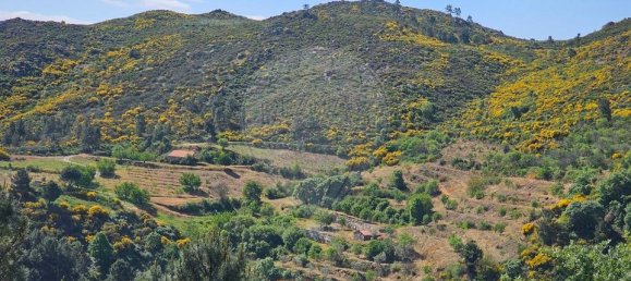 60700m² Land in Murca, Portugal No. 190293 6