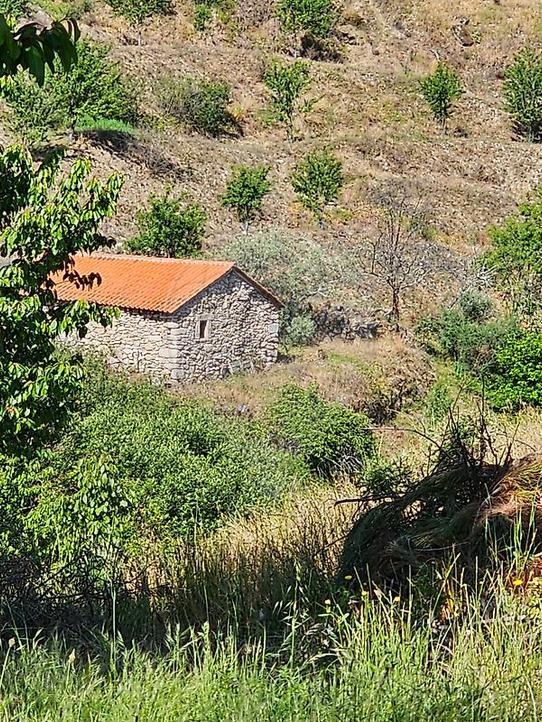 60700m² Land in Murca, Portugal No. 190293