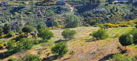 60700m² Land in Murca, Portugal No. 190293 4