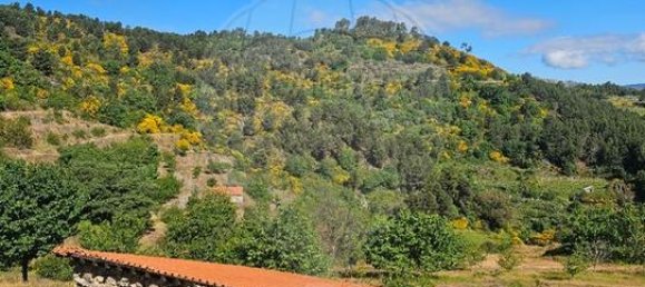 60700m² Land in Murca, Portugal No. 190293 3