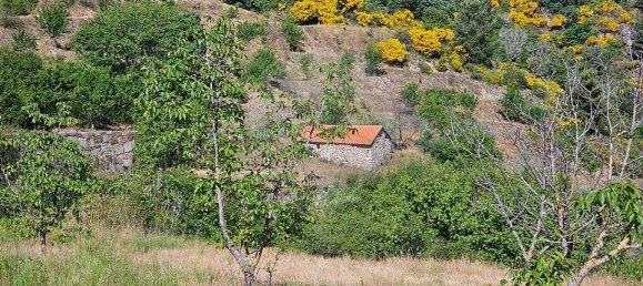 60700m² Land in Murca, Portugal No. 190293 5