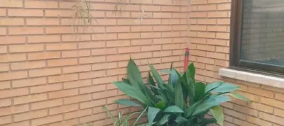 Apartamento de 4 dormitorios en Puertollano, Spain No. 145397 4