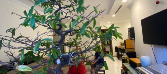 3 bedrooms Apartment in Binh Thanh, Vietnam No. 18050 3