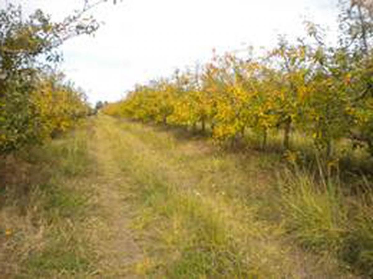 3 bedrooms House in Canelones, Uruguay No. 12648
