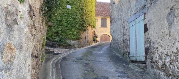 1 bedroom Townhouse in Saint-Benoit-du-Sault, France No. 101801 19