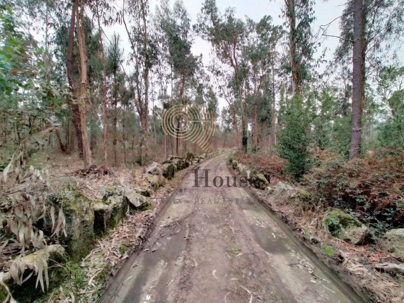 Земельный участок в Барселуш, Португалия № 250087